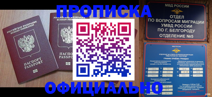 найти адрес прописки в Звенигороде